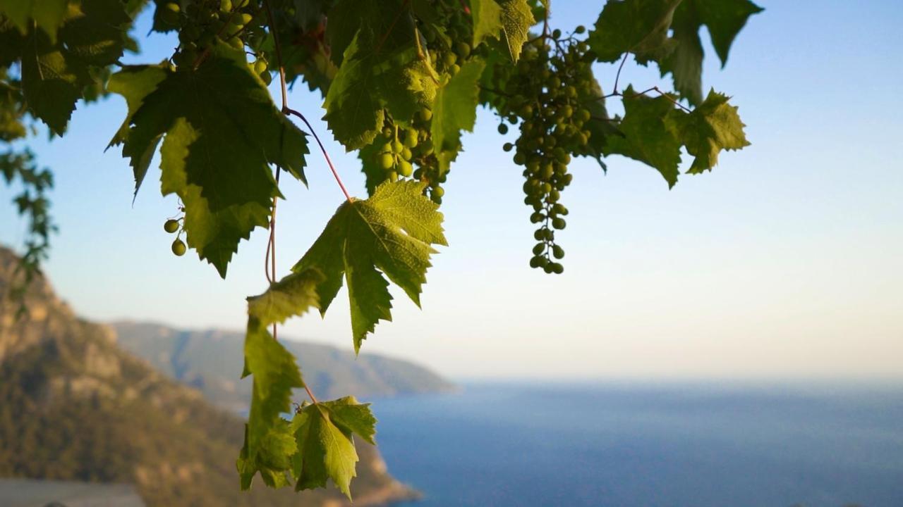 Kabak Mamma's Pension Restaurant&Terrace Bar Fethiye Bagian luar foto